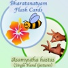 B-Natyam Flash Cards - Single Hand Gestures (Asamyuta Hastas)
