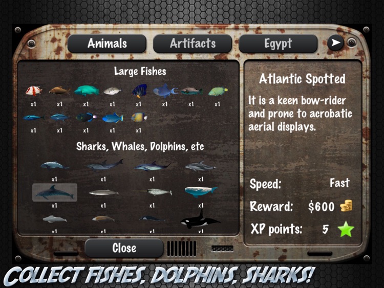 Atlantis Oceans HD Free Scuba Diving Shark Dolphin Fish Whale screenshot-4