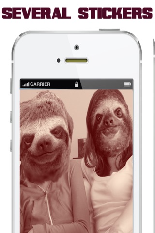 Slothify™-Cute Sloth Face Stickers For Your Photos! screenshot 2