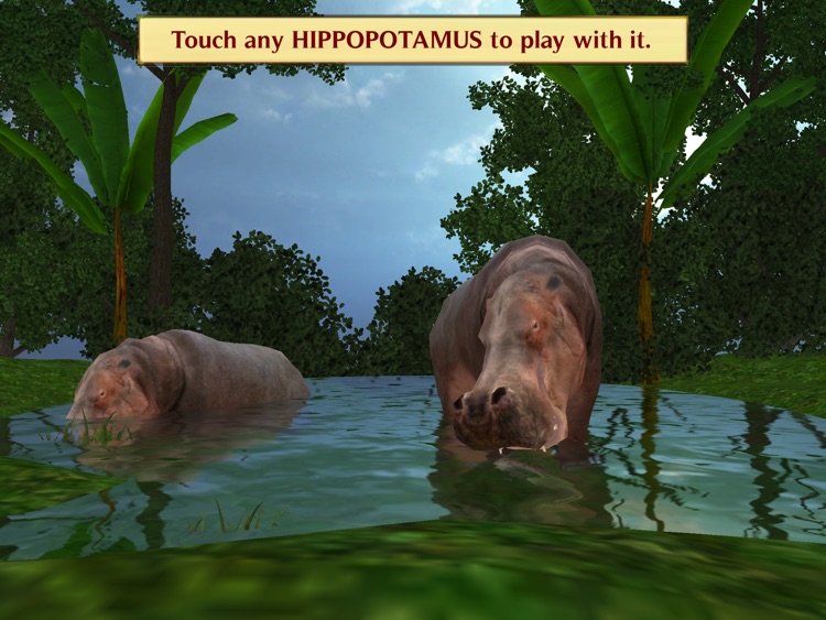 Magic Boox: Jungle Safari screenshot-3