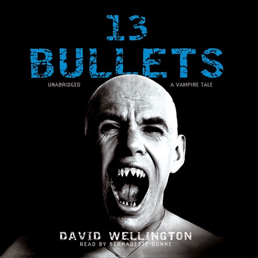 13 Bullets (by David Wellington) icon