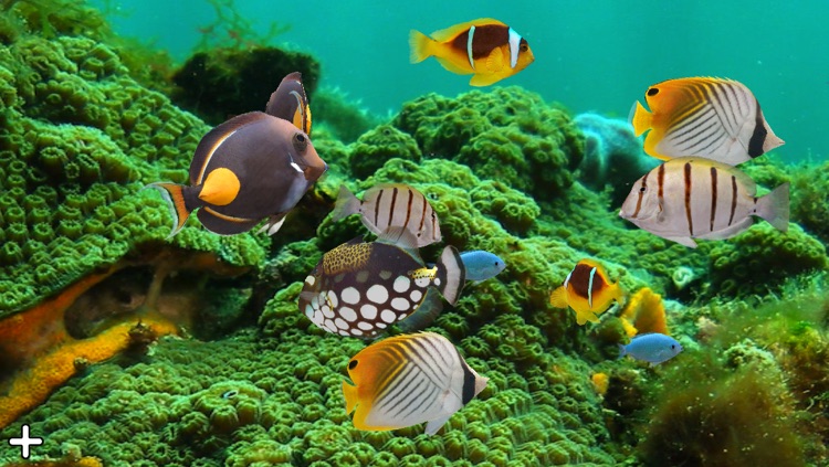 MyReef 3D Aquarium 2 Lite screenshot-3