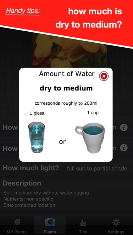 WaterPlease! Pro