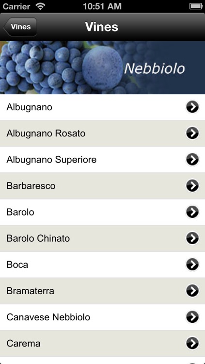 Italian Wine - Piedmont