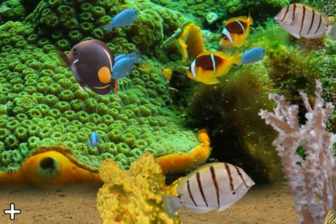 MyReef 3D Aquarium 2 Lite screenshot 4