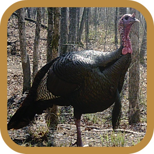 Turkey Hunter Pro iOS App