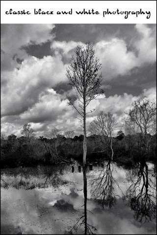 Black and White Photography screenshot 3