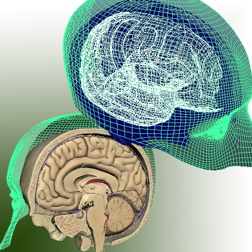 3D Brain HD