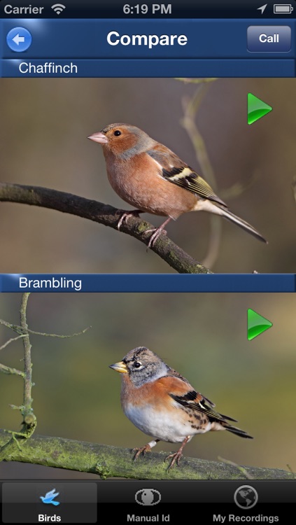 Bird Song Id - Dave Farrow's guide to garden birds - Songs and calls of the British Isles screenshot-3