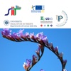 Določevalni ključ za rastline Sečoveljskih solin (Piran, Slovenija)
