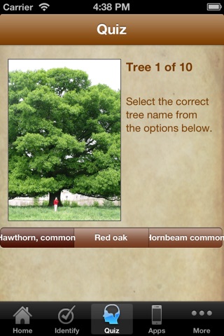 Trees of Britain screenshot 3