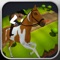 Country Horseback Riding