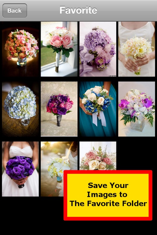 Wedding and Flower Bouquet screenshot-3