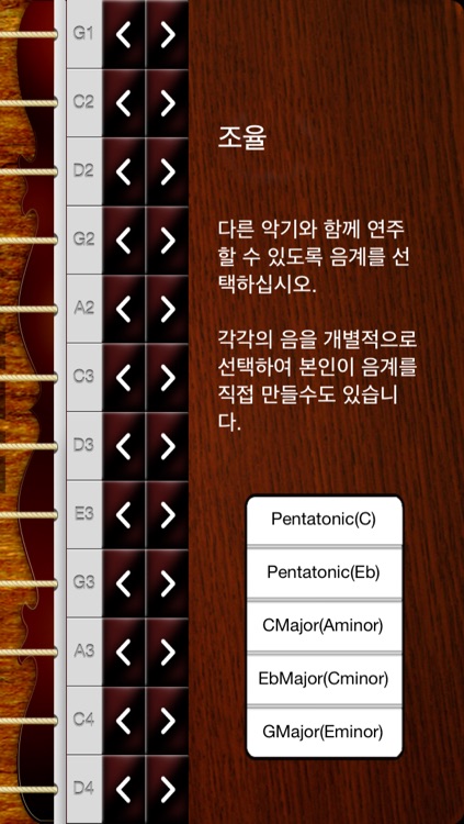 Sanjo Gayageum