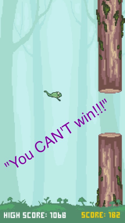 Splashy Frog-Flying and Jumping Obstacle Game