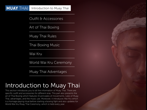 Muay Thai screenshot 2