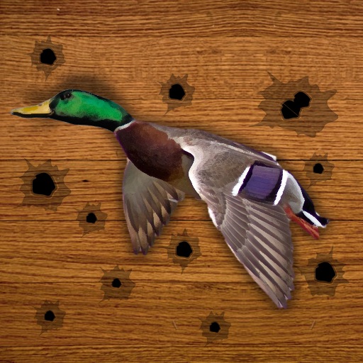Duck Hunt Season icon