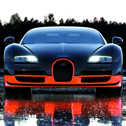 Top 10 Most Expensive Cars