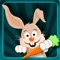 Bunny Jump HD