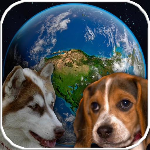 Amazing Earth 3D: Dogs