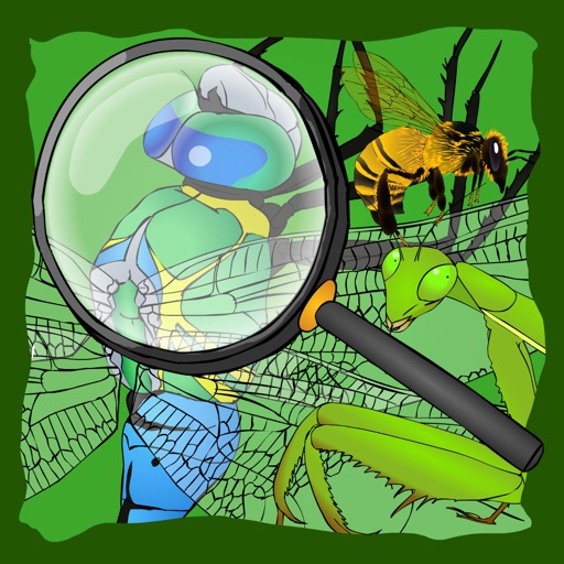 Find The Hidden Insects Icon