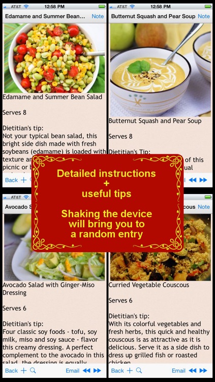 DASH Diet Recipes Plus+