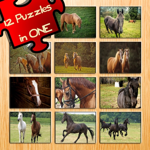 12 Animated Horse Puzzles All in One Game! Great Animal Photo Animation Puzzles With Horses and Ponies For Children & Riding Lovers! Many Games, Best Deal! Interactive Challenge For Kids To Learn Logi icon