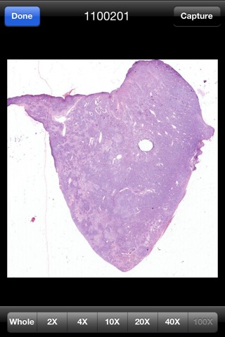 iPathologist screenshot 3