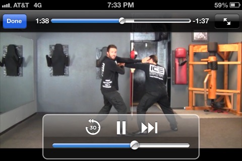 Street Fighting Skills Elite screenshot 4