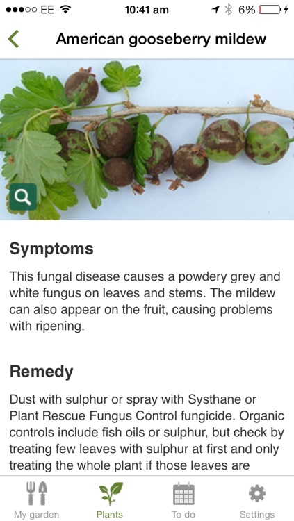 Grow Your Own screenshot-3