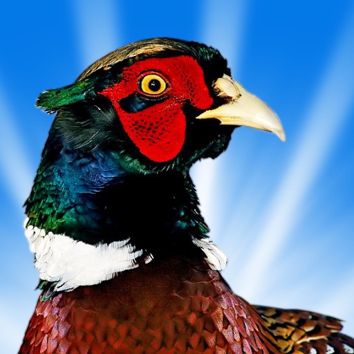Pheasant Hunt HD icon