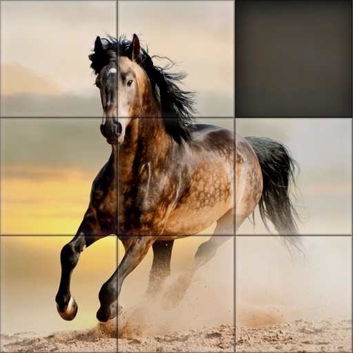 Aah! Games 4 all - Horses Slide Puzzle Icon