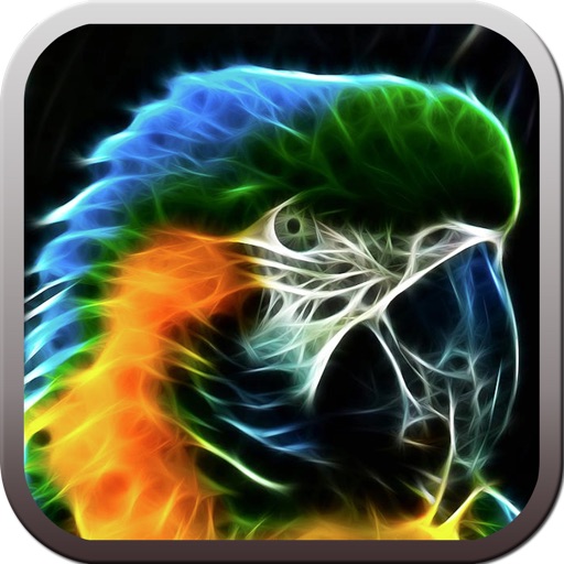 Parrots - Gallery icon