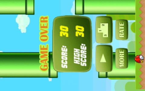 Flap in The Gap - Fly The Fluffy Bird High and Avoid the pipe in this jumpy kids game screenshot 4