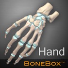 BoneBox™ - Hand Viewer