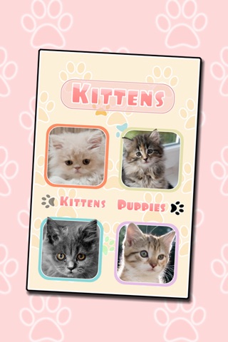 Cute Kitten and Puppy Sounds screenshot 4