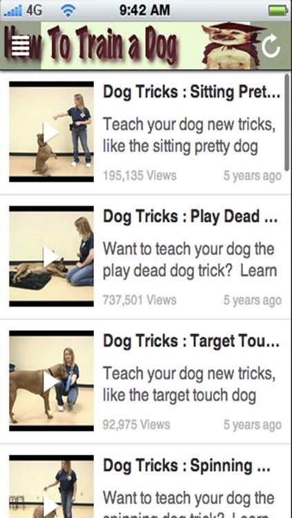 How to Train a Dog: Teach Your Dog Obedience Training! screenshot-3