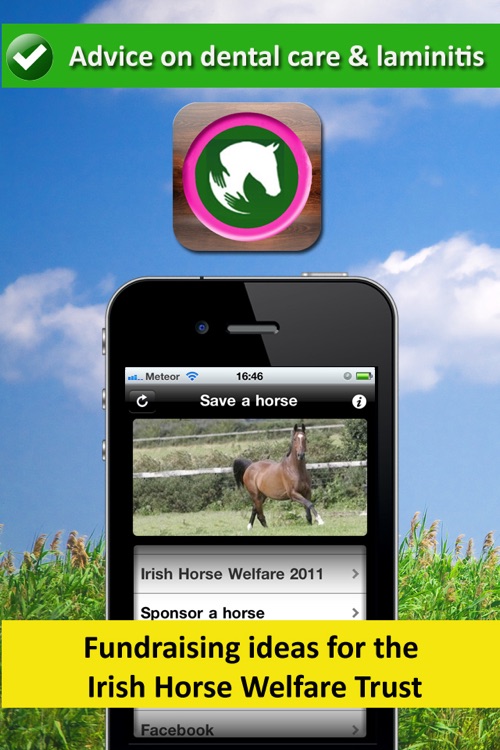 Save A Horse IHWT - Equine Education and Equestrian Help screenshot-3