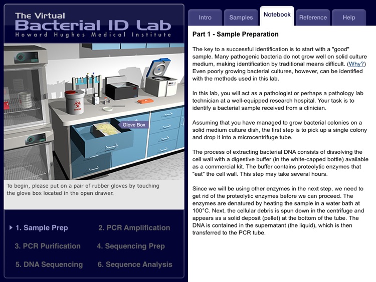 The Virtual Bacterial ID Lab
