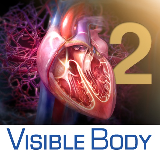 3D Heart & Circulatory Premium 2