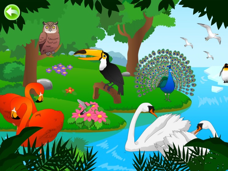 Birds for Kids HD - FREE Game screenshot-4