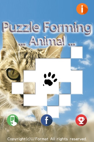 Puzzle Forming -ANIMAL screenshot 4