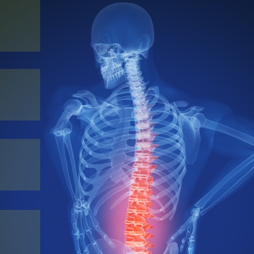 Back Pain Nerve Chart