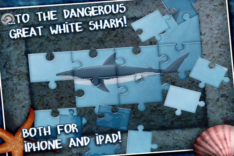 Jigsaw Puzzle with Whales and Sharks screenshot-3