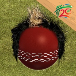 T20 Fever