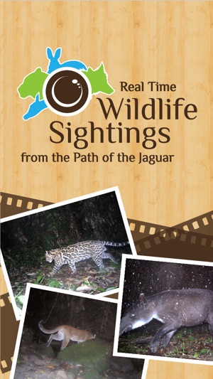 Real Time Wildlife Sightings from the Path of the Jaguar(圖1)-速報App