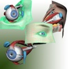 3D Eye