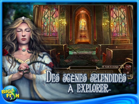 Dark Parables: Curse of Briar Rose Collector's Edition HD screenshot 2