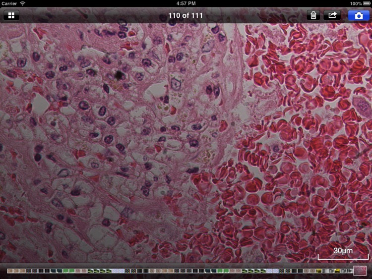 DS-L3 Viewer screenshot-3