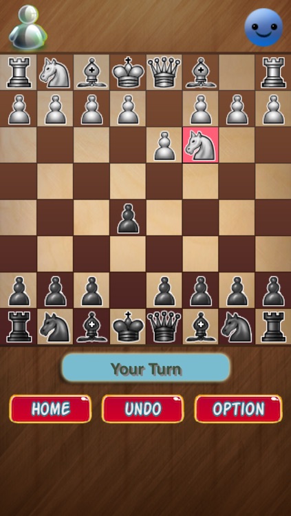 Classic Chess Board Game